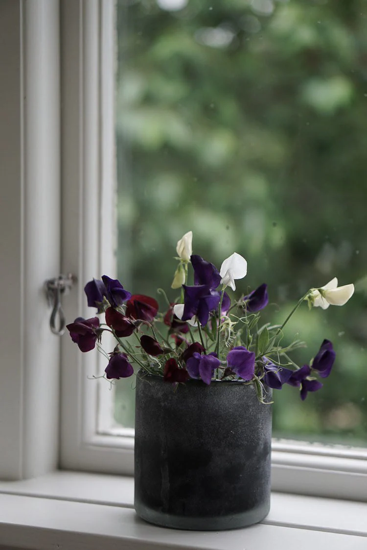 Miniatyrbild 5