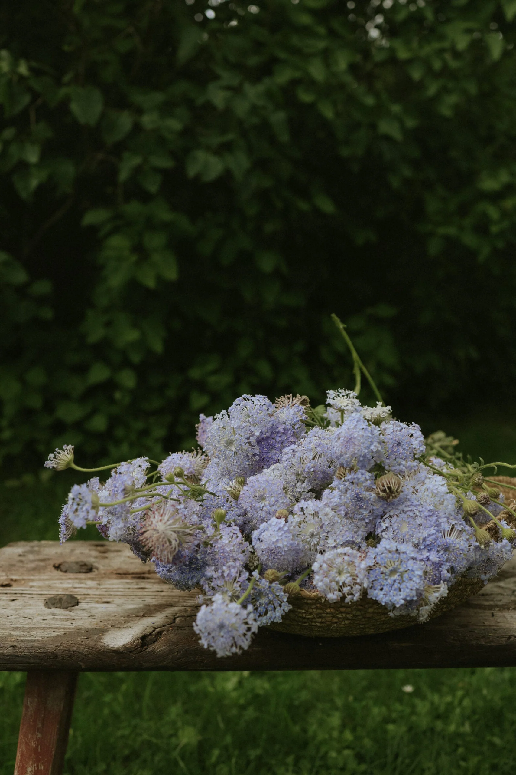 Miniatyrbild 3