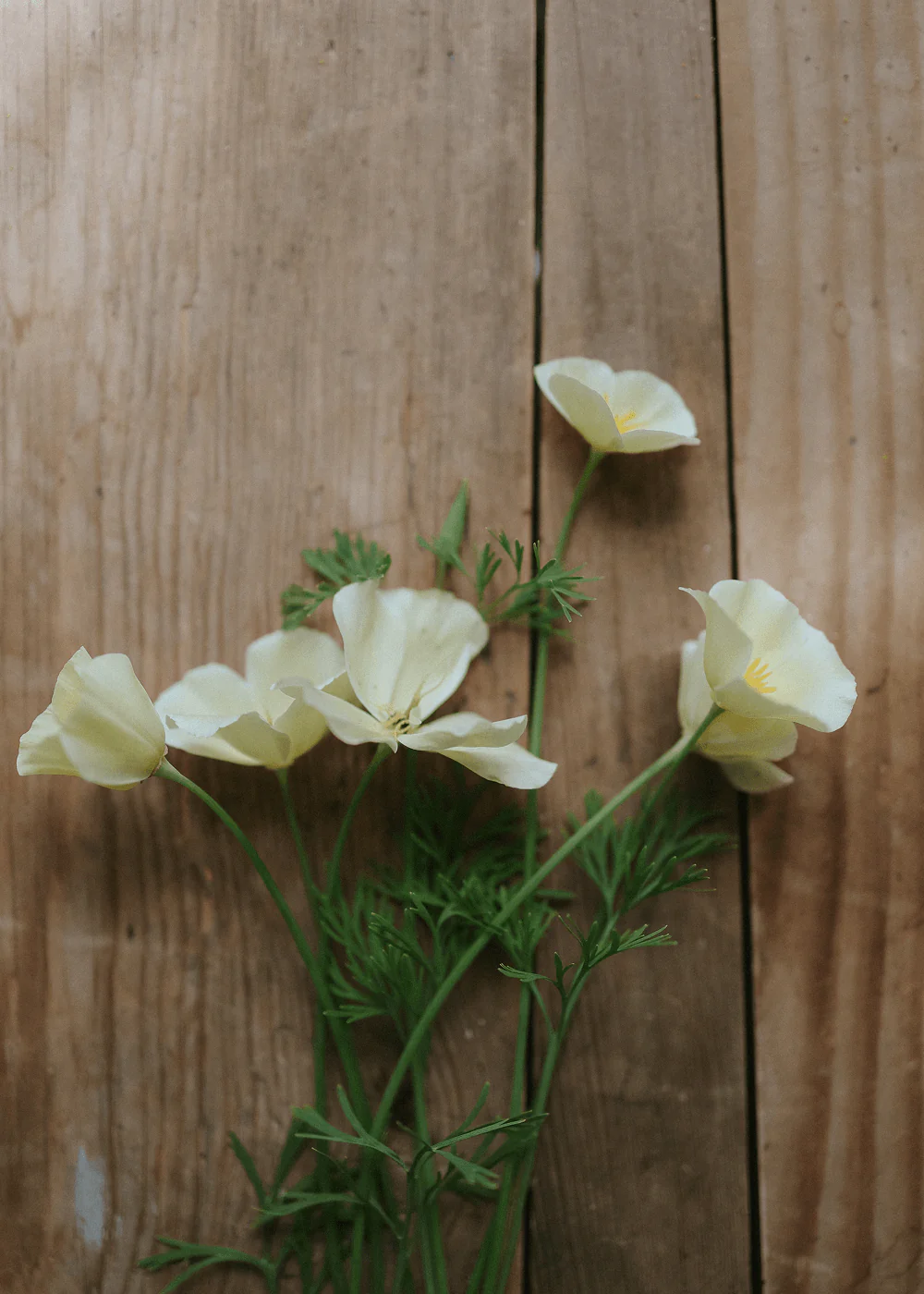 Miniatyrbild 12